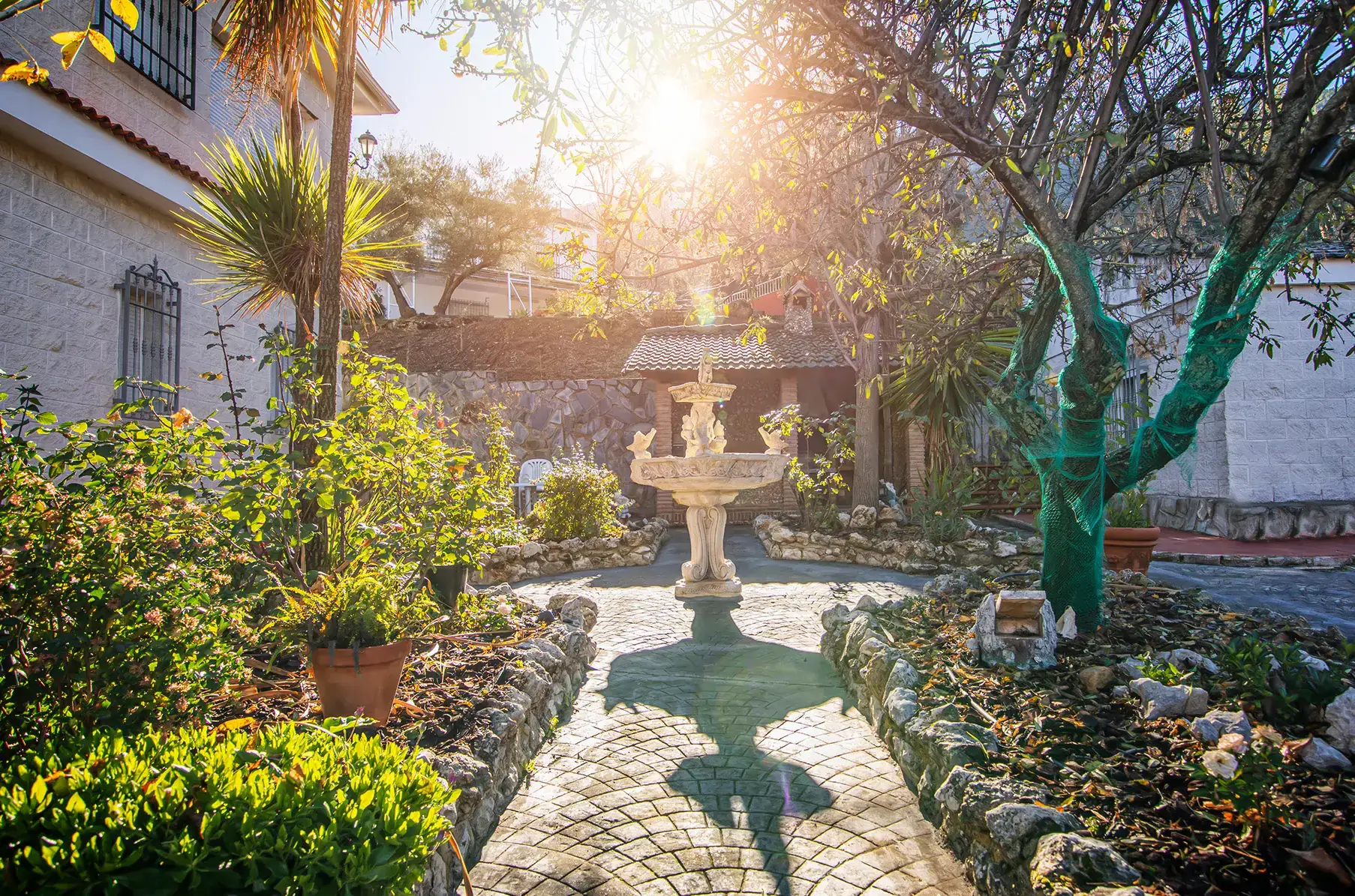 Fuente del jardín a contraluz del atardecer