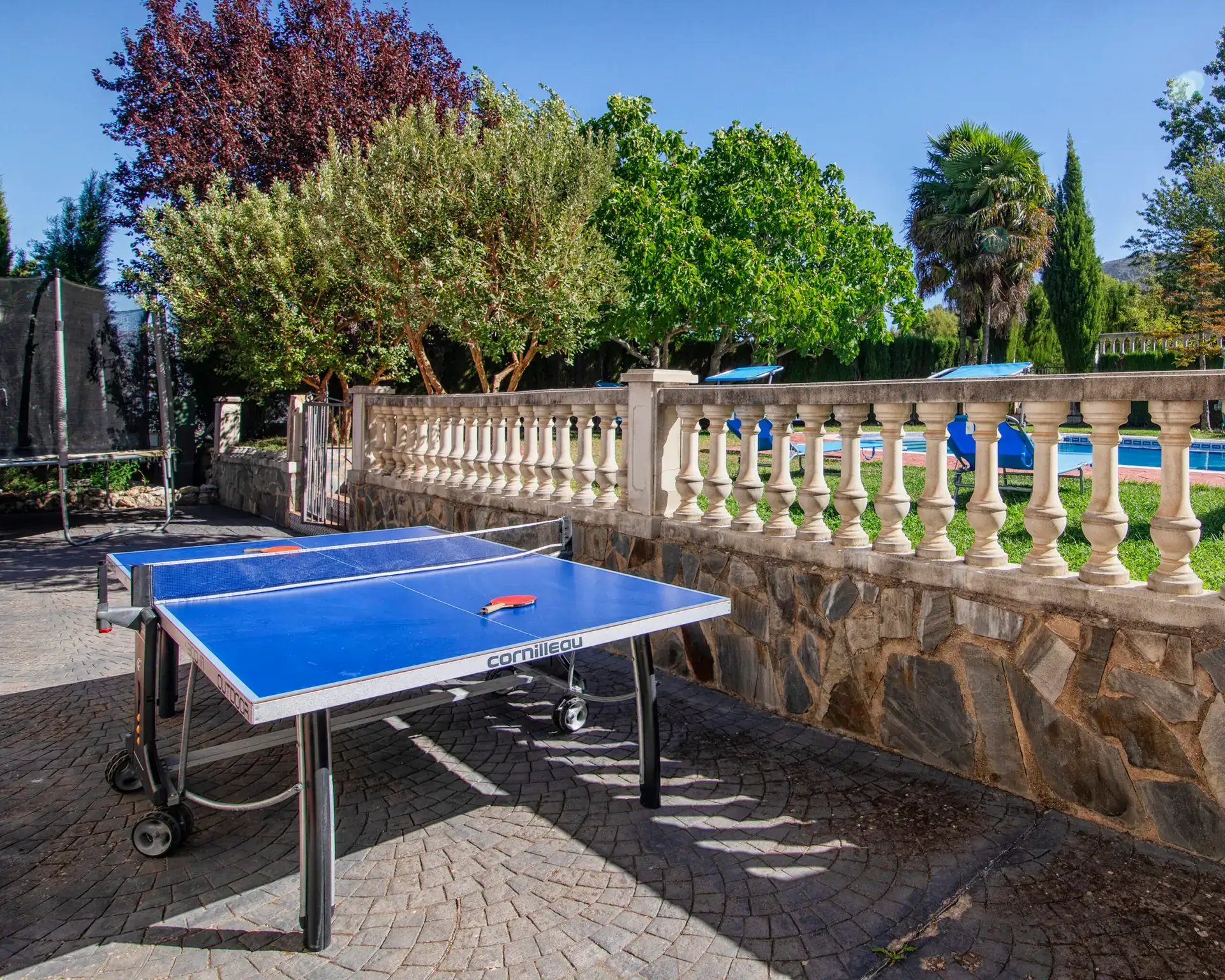 Mesa de ping-pong junto a la piscina