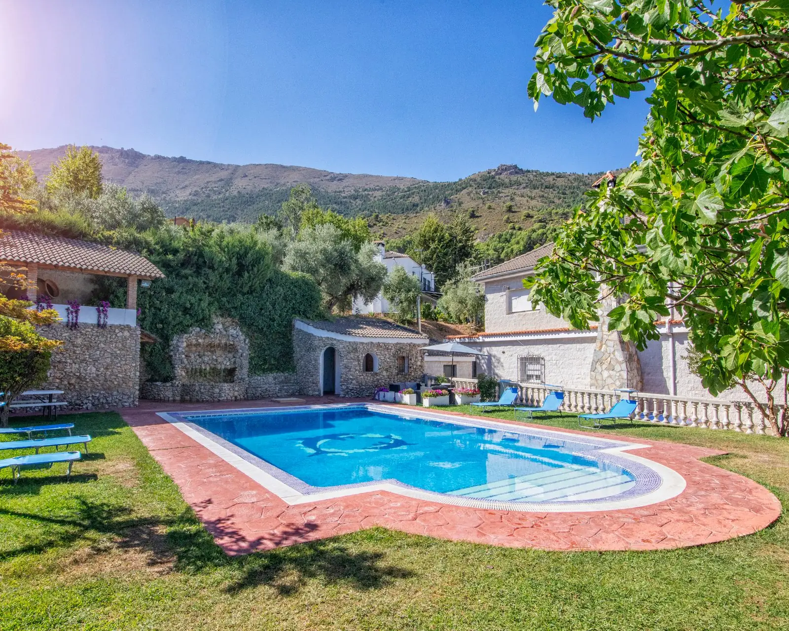 La piscina desde el césped, con las tumbonas al sol