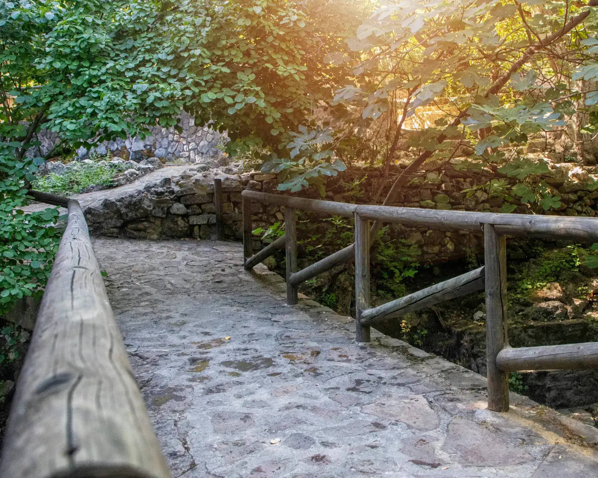 Sendero de piedra entre los árboles del jardín