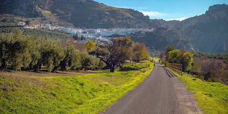 Carretera de montaña entre olivares en la Sierra Sur de Jaén