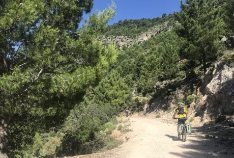 Bici sierra de cazorla 2